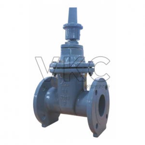 동진 소프트실 제수밸브 DSSV-1F 10K 50A 플랜지식 (닥타일 제수변)