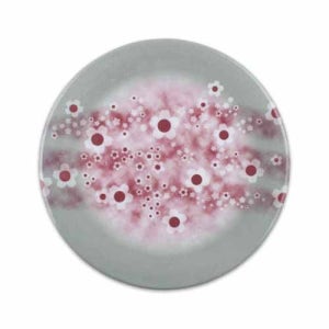 돌산멜라민(DS-K7-01)설화 회전초밥접시(중)그레이