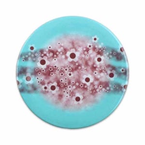 돌산멜라민(DS-K7-01)설화 회전초밥접시(중)스카이