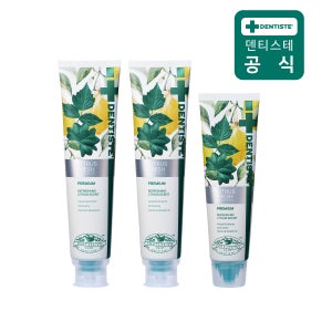 덴티스테 시트러스 후레쉬 치약 트리플 기획팩 200g 2개 + 100g 1개 불소 입냄새제거 충치케어