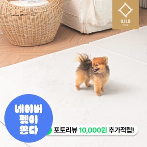 이리로 강아지러그매트 슬개골탈구예방 애견 미끄럼방지 방수 러그형 강아지 매트