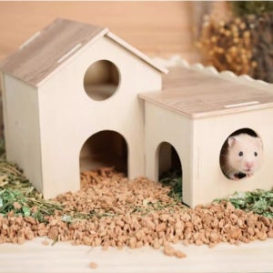 스윗슈가 대저택 은신처