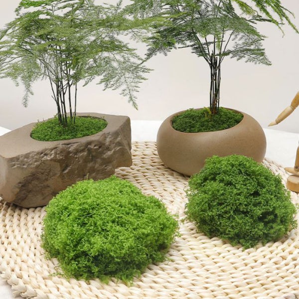생화같은 인테리어 조화 조경 실크플라워 돌 플랜테리어 인조 이끼 - 연그린 30