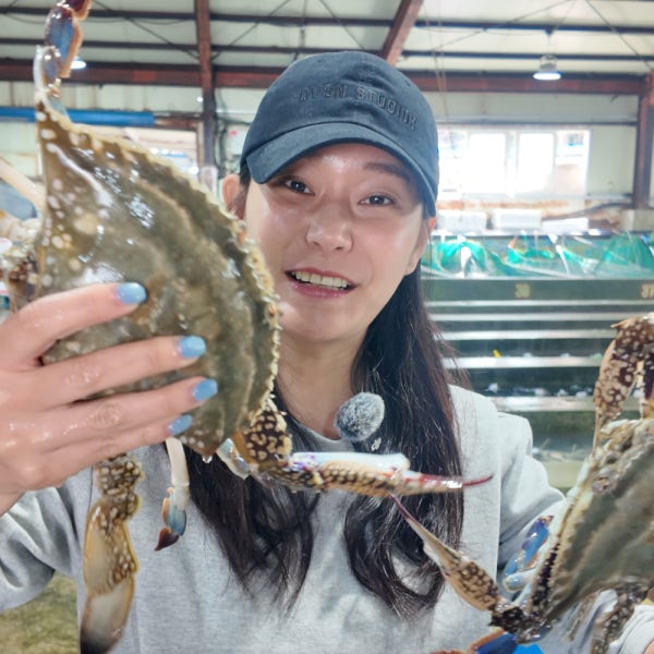 신선만 꽃게 숫꽃게 암꽃게 진도 제철 가을 1kg