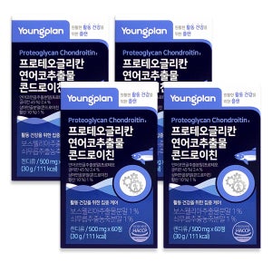 영진약품 프로테오글리칸 연어코연골 콘드로이친 60정, 4개