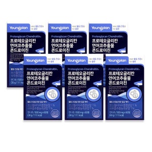 영진약품 프로테오글리칸 연어코연골 콘드로이친 60정, 6개