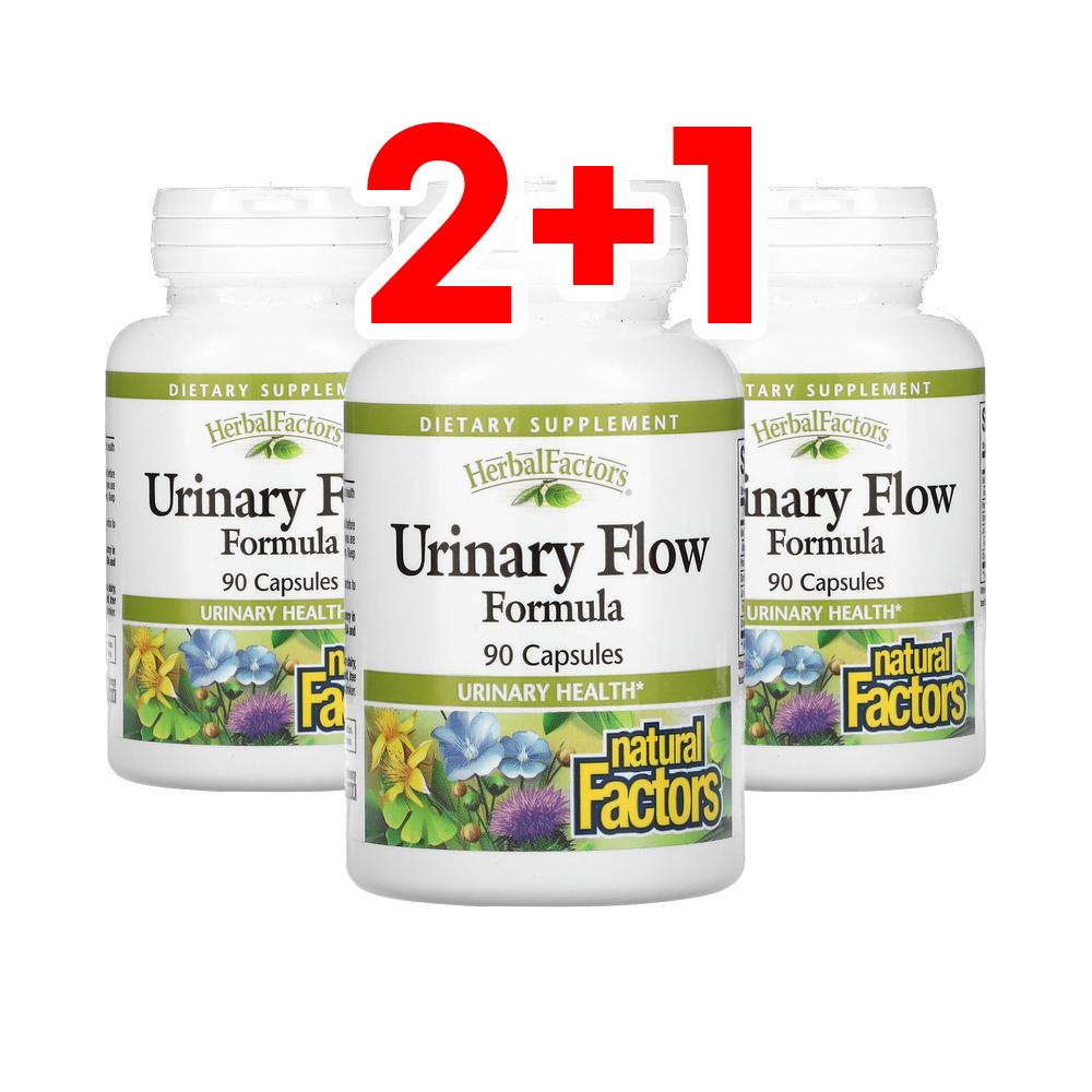 [2+1] 내추럴팩터스 유리너리 플로우 포뮬라 90정