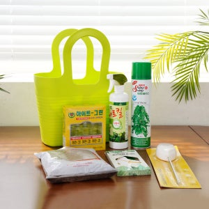 데팡스 식물관리세트 텃밭세트 식목일 유치원 식물 키우기 키트