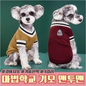 DMS 마법학교 강아지 기모 맨투맨 반려견 강아지 옷 겨울 산책옷
