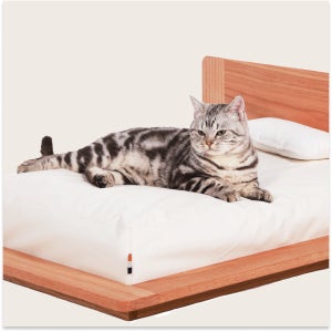 뉴캐슬퍼니처 바론 펫침대 - 강아지 고양이 프리미엄 침대 오크나무 원목 Baron Pet Bed