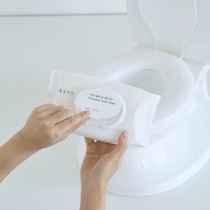 생활공작소 비데 물티슈 베이직 60매 20개