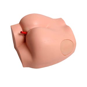 엉덩이주사모형 간호실습 교육 근육주사 교육용 인체모형