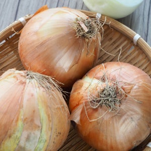 무안 양파 25년 햇양파 자색 3kg 5kg 10kg