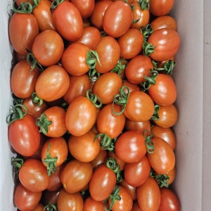 대추 방울 토마토 2kg 5kg 로얄과 중대과 소과(동일옵션2개구매시 5kg발송)