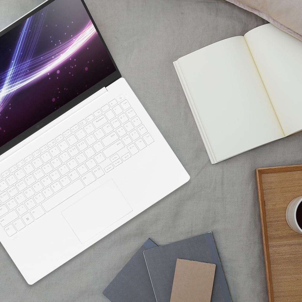 LG전자 그램17 인텔13세대 PD충전 17인치 17Z90RU-GAOWK 16GB, 256GB