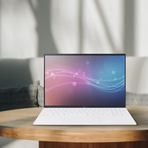 LG전자 그램17 17Z90RU-GAOWK (WIN11 HOME / SSD 1TB / RAM 16GB) HMC