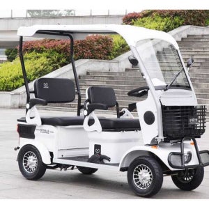전동 골프카 레저 가이드 스쿠터 미니버스 농업용