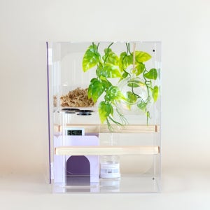 크레스티드게코 사육장 아크릴사육장 파충류 도마뱀 용품 투명 25x25x35cm