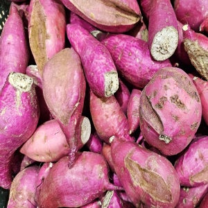 익산 햇 못난이고구마 10kg 5kg 고구마 파지 산지직송 한입