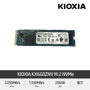 키오시아 256GB SSD NVMe Internal SSD M.2 KXG60ZNV256G US 셀러