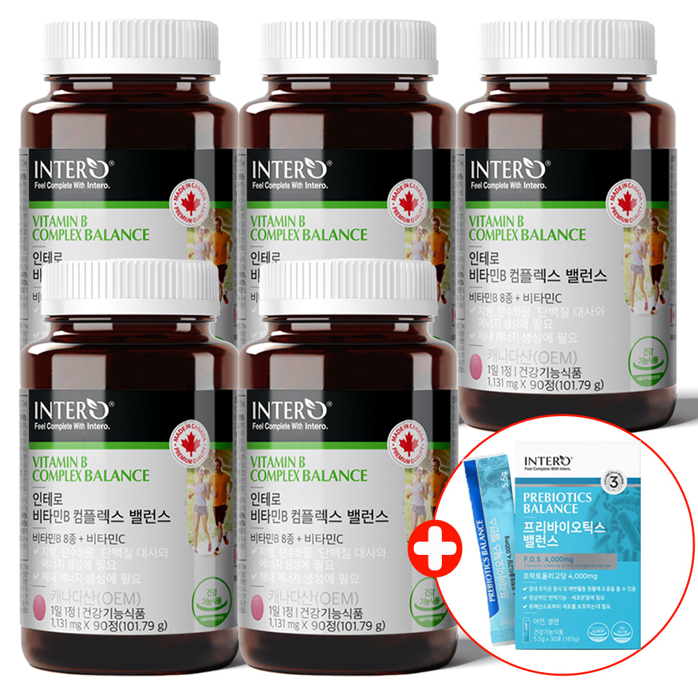 인테로 수용성 비타민B 5개 고함량 캐나다 비타민B12 B6 B2 B1 복합체