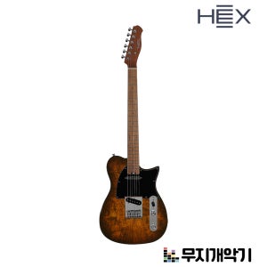 헥스 텔레캐스터 일렉기타 T260