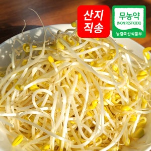 광주 무농약 콩나물 1kg 3kg