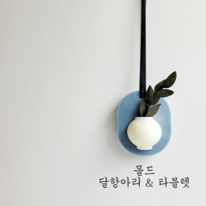 실리콘몰드 최저가 가성비상품