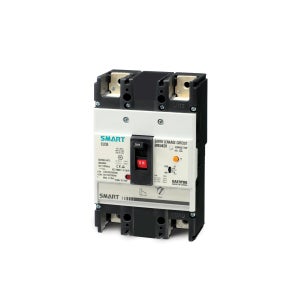 대륙차단기 DEG 202NS 175A 누전차단기 ELCB