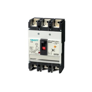 대륙차단기 DSG 203NS 200A 누전차단기 ELCB