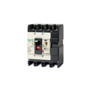 대륙차단기 DSG 204NS 200A 누전차단기 ELCB