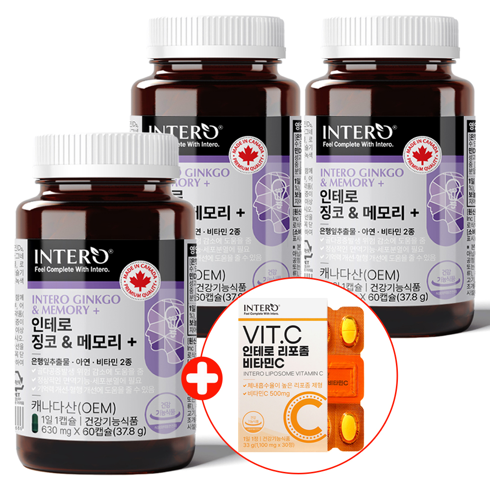 인테로 두뇌 징코 메모리 3개 <b>은행잎추출물</b> <b>플라보놀배당체</b> 기억력 혈행 뇌 은행<b>추출물</b>