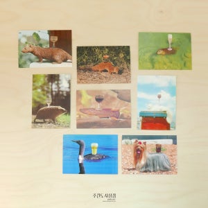 Chantal Rens- postcard set2 콜라주 작가 동물 그림 엽서 8장 세트