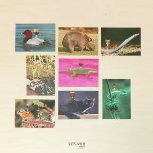 Chantal Rens- postcard set3 콜라주 작가 동물 그림 엽서 8장 세트