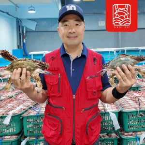 꽃게 활 숫꽃게 10-12미 2kg 대 소