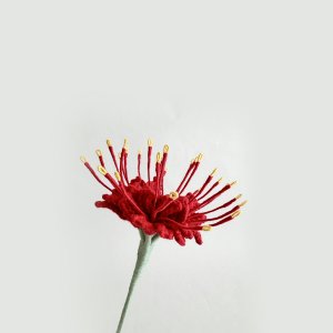 스파이더 릴리, 코바늘 뜨개 꽃