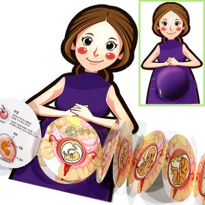 인체의 신비-태아발달과정(5인 세트) 초등학교 교과서 과학키트 만들기
