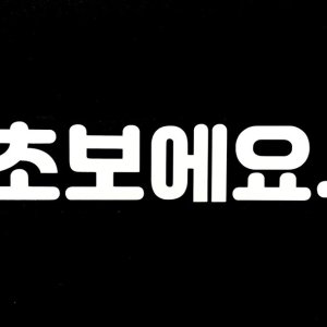 빽파이어 초보에요 초보운전스티커