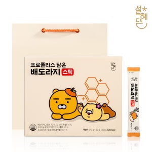 설혜담 프로폴리스 담은 배도라지스틱 12g 30포, 1개