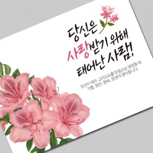 그레이스 엽서 전도지 (1-4 당신은 사랑받기 위해 태어난 사람) 500장부터 교회 인쇄 제작