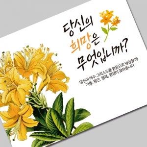 그레이스 엽서 전도지 (1-2 당신의 희망은 무엇입니까) 500장부터 교회 인쇄 제작