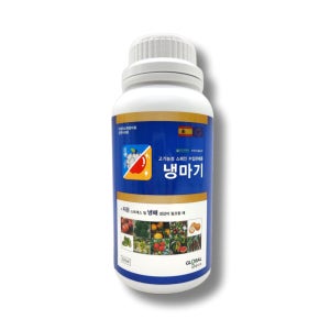 냉마기 500ml 최고급 냉해 예방 꽃눈 저온피해 개화촉진제 베타인 프롤린 사과 낙과방지