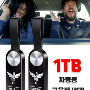 차량용 고음질 USB 메모리 1GB