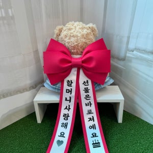 리본 인간 아기화환 소형 선물 생신 환갑 결혼식 화동 어버이날 졸업 개업 이벤트 촬영 소품