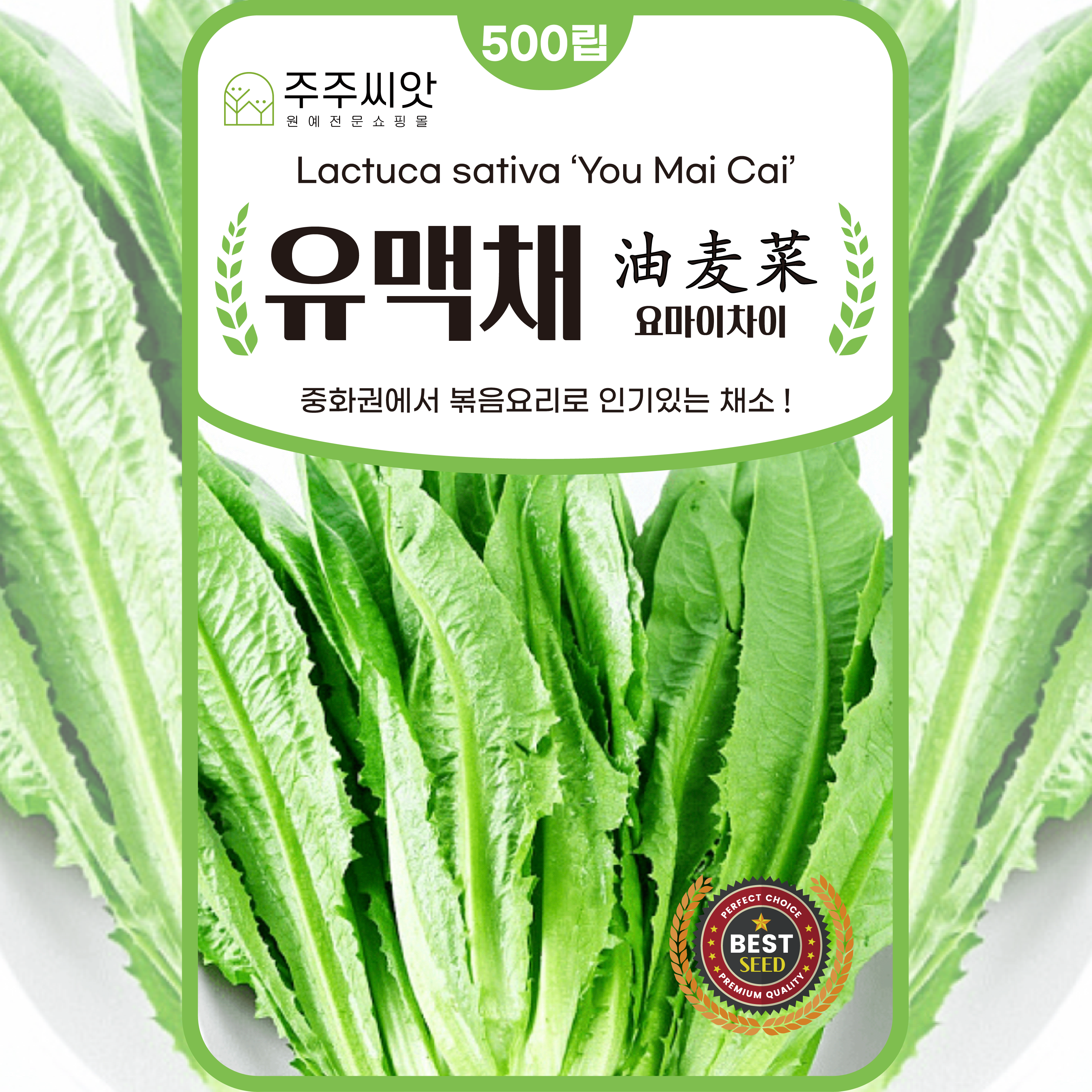 유맥채씨앗 500립 요마이차이 상추씨앗 종자 상추씨