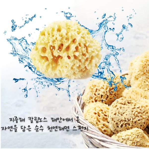 천연해면스펀지 얼굴 세안 용품 클렌징 각질제거 세안스펀지 피부 저자극