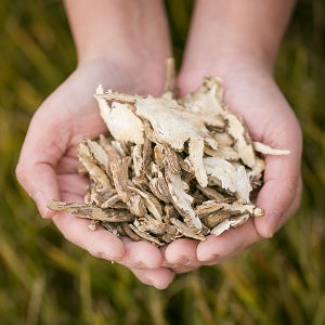 당귀 200gX2 수입 차 감칠맛 삼계탕 수육 보쌈 한약재 말린 건조 건 한방 뿌리