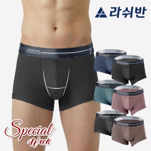 [스페셜위크] 라쉬반 H분리 프리미엄 나무소재 남자 드로즈 페어쿨 아더브릭 6종