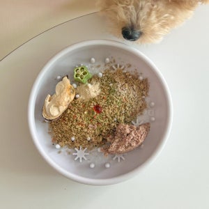 실리킹 문볼 국내제작 플래티넘 실리콘 슬로우 식기 강아지 고양이 밥그릇 급체방지 노즈워크