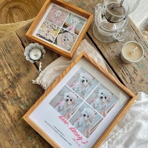 마이미닝 마이펫 강아지 생일파티 선물 액자